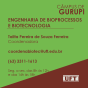 Curso de Engenharia de Bioprocessos e Biotecnologia do Câmpus de Gurupi (Arte: Job/UFT)