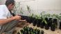 Carlos Gomide organiza as mudas de plantas  que trouxe na mala diretamente de seu viveiro em Juazeiro do Norte, mais de 100 mudas de frutas e flores além de sementes de Pitomba/ Foto: Vinicius de Souza Jordão